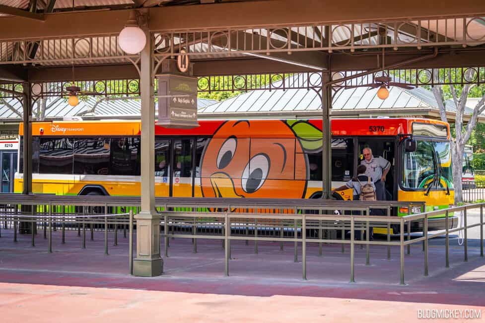 New Orange Bird Bus Wrap Debuts at Walt Disney World